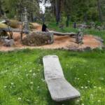 Sortie chez Vincent Bernard au Savignier du 15 juin 2024 - La mer de sciure