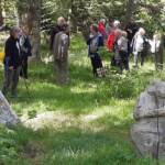 Sortie chez Vincent Bernard au Savignier du 15 juin 2024 - La parlotte dans le sous-bois