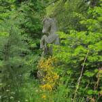 Sortie chez Vincent Bernard au Savignier du 15 juin 2024 - L'étalon