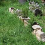 Sortie chez Vincent Bernard au Savignier du 15 juin 2024 - Le petit train