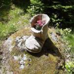 Sortie chez Vincent Bernard au Savignier du 15 juin 2024 - La godasse fleurie