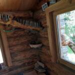 Sortie chez Vincent Bernard au Savignier du 15 juin 2024 - La girafe au cou utile !