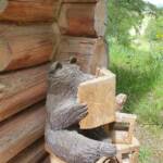 Sortie chez Vincent Bernard au Savignier du 15 juin 2024 - L'ourson savant