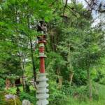 Sortie chez Vincent Bernard au Savignier du 15 juin 2024 - On se sent épié...