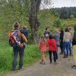 Journée de la Biodiversité - Ferme du Gévaudan à St-Flour de Mercoire du 1er juin Journée de la Biodiversité - Ferme du Gévaudan à St-Flour de Mercoire du 1er juin - A la découverte de la flore locale et des petites bêtes