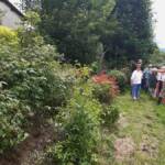 Ouvertures du jardin de la combe de Brière à Pradelles le dimanche 30 juin 2024 - Christian transmet son savoir