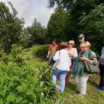 Ouvertures du jardin de la combe de Brière à Pradelles le dimanche 30 juin 2024 - Moment de détente