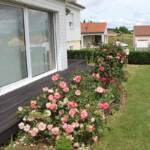 Ouverture du jardin des Pouchin(s) à Naussac le dimanche 30 juin 2024 - Un des parterres fleuris