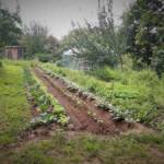 Ouvertures du jardin de la combe de Brière à Pradelles le dimanche 30 juin 2024 - 16. après le jardin potager