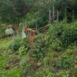 Ouvertures du jardin de la combe de Brière à Pradelles le dimanche 30 juin 2024 - Après le passage de la grille d'entrée