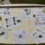 Ouverture du jardin des Pouchin(s) à Naussac le dimanche 30 juin 2024 - Le présentoir