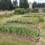 Ouverture du jardin des Pouchin(s) à Naussac le dimanche 30 juin 2024 - parking et découverte du jardin potager