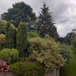 Ouvertures du jardin de la combe de Brière à Pradelles le dimanche 30 juin 2024 - Le massif sous l'habitation