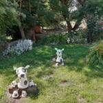 Sortie du 24 juillet 2024 en Haute-Loire (Lesbineyres & Pébrac) - La basse cour