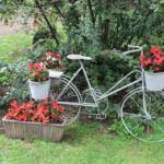 Sortie du 24 juillet 2024 en Haute-Loire (Lesbineyres & Pébrac) - La bicyclette fleurie