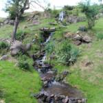 Sortie du 24 juillet 2024 en Haute-Loire (Lesbineyres & Pébrac) - La cascade