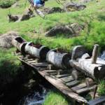Sortie du 24 juillet 2024 en Haute-Loire (Lesbineyres & Pébrac) - Le petit train