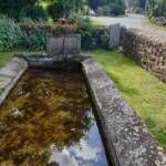 Sortie du 27 août 2024 en Haute-Loire à Lesbineyres - Le lavoir aux 5 poissons rouges