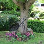 Sortie du 24 juillet 2024 en Haute-Loire (Lesbineyres & Pébrac) - Découverte