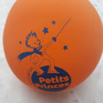 Visite du 14 août 2024 aux Uffernets au profit de l'association des "Petits Princes" - à leur profit