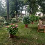 Visite du 14 août 2024 aux Uffernets au profit de l'association des "Petits Princes" - Les grands pots sont de sortie sous les frondaisons