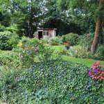 Sortie du 24 juillet 2024 en Haute-Loire (Lesbineyres & Pébrac) - Le jardin de Marie-Andrée