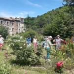 Sortie du 24 juillet 2024 en Haute-Loire (Lesbineyres & Pébrac) - Jardin de l'abbaye de Pébrac, déambulation