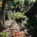 Atelier Ikebana au Pestel du 14 septembre 2024 Atelier Ikebana au Pestel du 14 septembre 2024 - En descendant