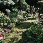 Atelier Ikebana au Pestel du 14 septembre 2024 Atelier Ikebana au Pestel du 14 septembre 2024 - vue sur le palier intermédiaire du jardin