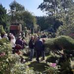 Atelier Ikebana au Pestel du 14 septembre 2024 Atelier Ikebana au Pestel du 14 septembre 2024 - Quelle affluence !