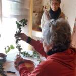 Atelier Ikebana au Pestel du 14 septembre 2024 Atelier Ikebana au Pestel du 14 septembre 2024 - Concentration nécessaire pour Suzanne