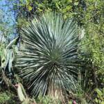 Sortie du 05 octobre 2024 - étape de Privas vers Beaumont-Monteux - Feu d'artifice