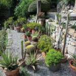 Sortie du 05 octobre 2024 - Le jardin zen d'Erik Borja à Beaumont-Monteux - Jardin méditerranéen en contrebas