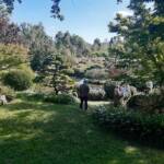 Sortie du 05 octobre 2024 - Le jardin zen d'Erik Borja à Beaumont-Monteux - On abandonne le chemin central