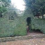 Atelier art Topiaire du 28 septembre 2024 Atelier art Topiaire du 28 septembre 2024 - L'accès dérobé