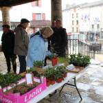 Atelier troc de graines et de plantes du 26 octobre 2024 Atelier troc de graines et de plantes du 26 octobre 2024 - Mise en place