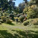 Sortie du 05 octobre 2024 - Le jardin zen d'Erik Borja à Beaumont-Monteux - Poursuite de la descente
