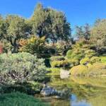 Sortie du 05 octobre 2024 - Le jardin zen d'Erik Borja à Beaumont-Monteux - Autre vue