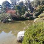 Sortie du 05 octobre 2024 - Le jardin zen d'Erik Borja à Beaumont-Monteux - on ne s'en lasse pas !
