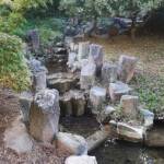 Sortie du 05 octobre 2024 - Le jardin zen d'Erik Borja à Beaumont-Monteux - L'eau omniprésente dans cet univers