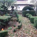 Atelier art Topiaire du 28 septembre 2024 Atelier art Topiaire du 28 septembre 2024 - Vue d'ensemble après l'atelier