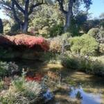 Sortie du 05 octobre 2024 - Le jardin zen d'Erik Borja à Beaumont-Monteux - Etang des nymphéas sur le haut