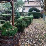 Atelier art Topiaire du 28 septembre 2024 Atelier art Topiaire du 28 septembre 2024 - L'allée centrale