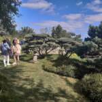 Sortie du 05 octobre 2024 - Le jardin zen d'Erik Borja à Beaumont-Monteux - Jardin de Thé