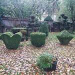 Atelier art Topiaire du 28 septembre 2024 Atelier art Topiaire du 28 septembre 2024 - Les cartes