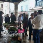 Atelier troc de graines et de plantes du 26 octobre 2024 Atelier troc de graines et de plantes du 26 octobre 2024 - Le cercle des visiteurs s'élargit