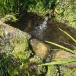 Sortie du 05 octobre 2024 - Le jardin zen d'Erik Borja à Beaumont-Monteux - Détente acoustique