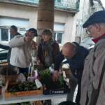 Atelier troc de graines et de plantes du 26 octobre 2024 Atelier troc de graines et de plantes du 26 octobre 2024 - Une adhésion en vue ...