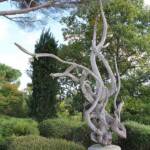 Sortie du 05 octobre 2024 - Le jardin zen d'Erik Borja à Beaumont-Monteux - Sculpture végétale